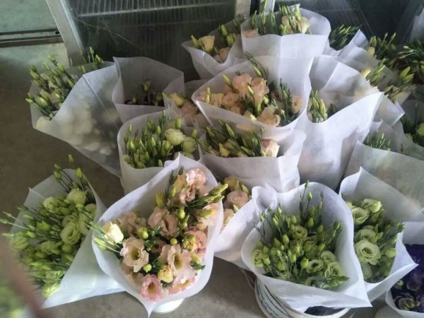 無紡布鮮花套袋批發定做廠家